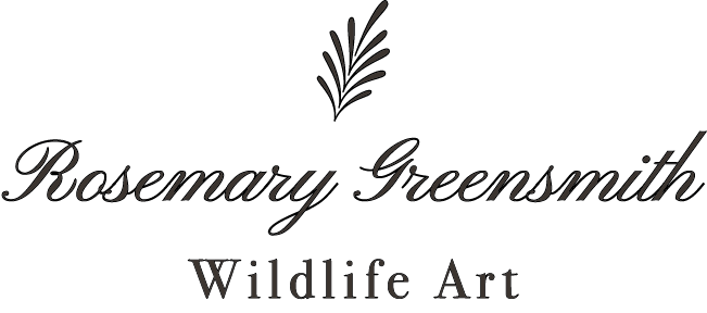 Rosemary Greensmith Wildlife Art